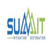 Summit Mitigation Restoration