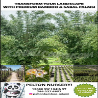 Pelton Bamboo Nursery