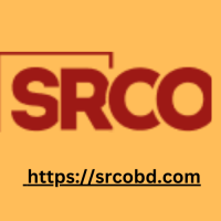BPO & Accounting Services