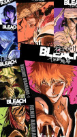bleachmanganet