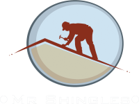 Mr Shingles