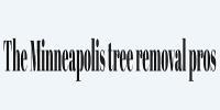Tree Removal Minneapolis MN
