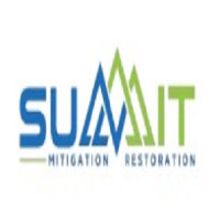 Summit Mitigation Restoration