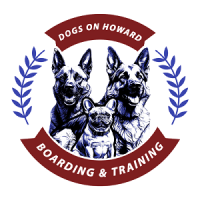 Dogs On Howard