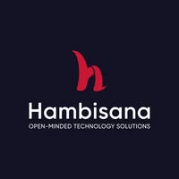 Hambisana IT LLC IT services provider