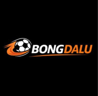 bongdaluzip