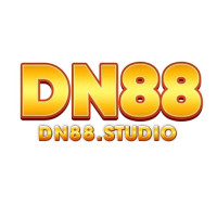 dn88studio