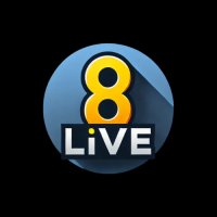 8LIVEbingo