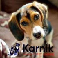 Karnik Pet Lodge at Maple Village