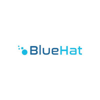 BlueHat LLC