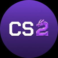 CS2Skin