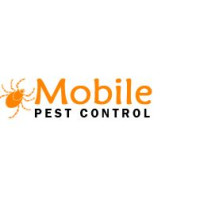 Mobile Wasp Removal Melbourne