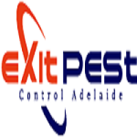 Exit Possum Removal Adelaide