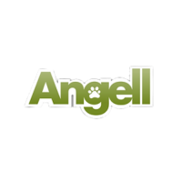 Angell Deer Labradors