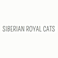 Siberian Royal Cats