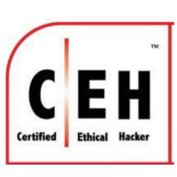 N*1 Empresa de Ciberseguridad en España ⭐️| Ethical Hackers CYBEREXHACK