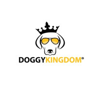 Comfortable and Secure Dog Harness for Every Breed