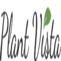 Plants Maintenance In Dubai