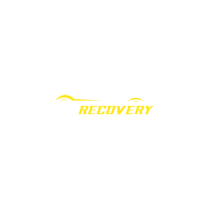 Signe Gold Car Recovery 24 Hours