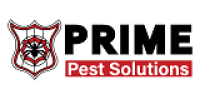 Prime Pest Solutions – Expert Pest Control for Safe & Healthy Living