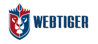 BEST WEB DESIGNING COMPANY IN NOIDA