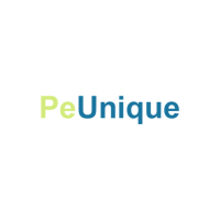 Trusted E-commerce Payment Gateway in Noida