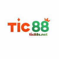 tic88snet