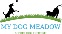 My Dog Meadow