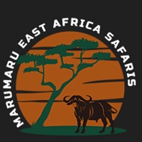 Marumaru East Africa Safaris – Explore Tanzania’s Wild Beauty