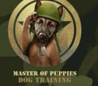 Dog Training Australia Professional Guidance for Every Dog Owner