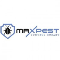 Flea Removal Hobart