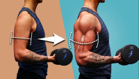 Best SARMs Everything Need to Know About Legal Steroid Alternatives For Athletes