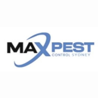 Flea Inspection Sydney