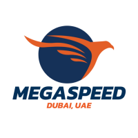 Mega Speed Cargo Services LLC