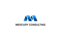 Business Consulting and Services