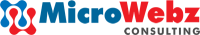 Best Software Development Company in Bangalore | Microwebz