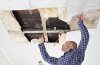 Mold Experts of Buffalo