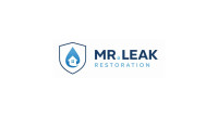 Mr. Leak - Water Damage Restoration