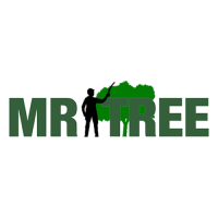 Mr. Tree