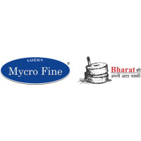 Domestic Atta Chakki - Mycrofine