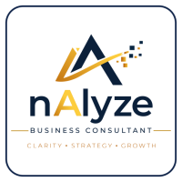 nAlyze Business Consultant