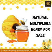 Natural Multiflora Honey for Sale