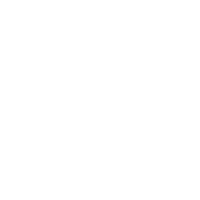 New Orleans Auto Transport
