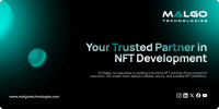 Top-Rated NFT Development Company for Custom Blockchain Solutions