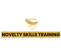 Novelty Skills Training | IT Training Institute in Dubai