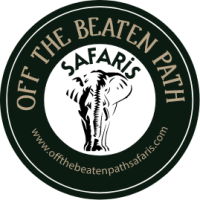 Off the Beaten Path Safaris: Your Gateway to Extraordinary Wildlife Safaris in Tanzania