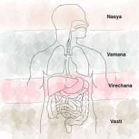 Panchakarma Treatment For Weight Loss