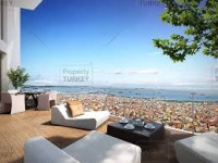 Royal White Property