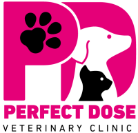 Perfect dose veterinary clinic: The Best Veterinary Clinic In Dubai