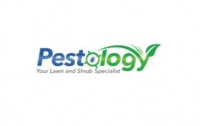 Pestology